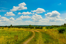 Rural Road Through The Green Meadow
