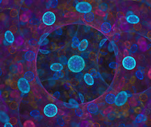 Black Abstract Background With Round Hole In Transparent Cell Structure Fractal Pattern. Neon Colored Texture With Blue Glowing Psychedelic Circles.