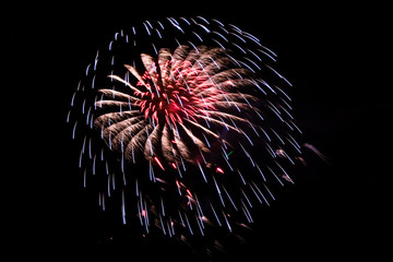 Wall Mural - Fireworks on Independence Day