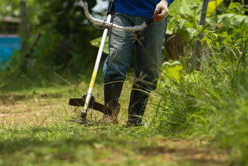 cut the grass