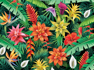 Wall Mural - Background from tropical flowers