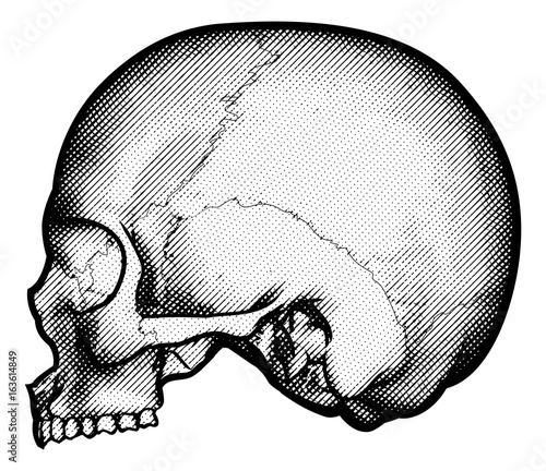 Skull Vintage Retro Etched ...