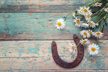 Rustic Background With Rusty Horseshoe And Bouquet Of Daisies On Old Wooden Boards. Copy Space.