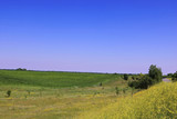 Fototapeta Konie - Meadows and fields in the summer