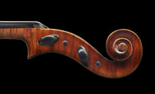 Cello Scroll Close Up Isolated On Black Background