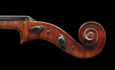 Cello scroll close up isolated on black background