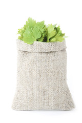 parsley in sack isolated