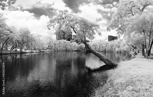 Cuadros en Lienzo Infrared photography (Black and white), Vachirabenjatas Park, land mark of Bangkok, Thailand