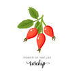Red rosehip berry flat icon with inscription colorful vector illustration of eco food isolated on white.