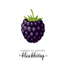 Dark Purple Blackberry Berry Flat Icon With Inscription Colorful Vector Illustration Of Eco Food Isolated On White.