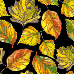 Sticker - Watercolor autumn leaf seamless pattern