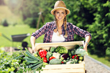 Pretty Woman With Box Of Vegetables In Her Garden