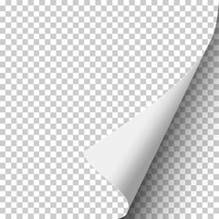 Wall Mural - Sheet of transparent paper with curled corner and soft shadow. Element with space for text and ad. Template paper design. Vector illustration.