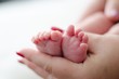 © bellan - Baby feet in the mother hands. Family love concept. Newborn beauty.