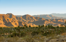 Palm Springs And San Jacinto Mountains