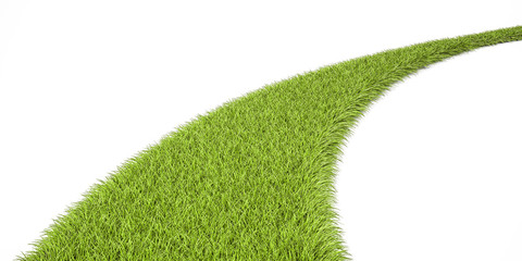 Wall Mural - Green Grassy Way, 3D rendering