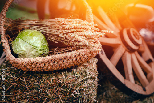 Fotografía Still life of peasant food: in a basket of cabbage, ears of wheat and oats