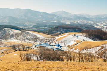 Canvas Print - Dry grass field and mountain and snow and winter landscape in Daegwallyeong sheep ranch, Pyeongchang, Korea