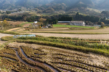 Canvas Print - Countryside in Japan at autumn