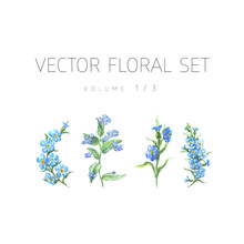 Bright Watercolor Floral Vector Set