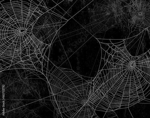 Obraz na płótnie canvas dwuczęściowy "dyptyk" Pajęczyna sylwetka przeciwko czarnej ścianie - halloween motyw ciemne tło