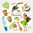 hawaii vector collection of traditional objects set with bird toucan girl dancing hula tiki mask ukulele surf and tropical leaves and flowers cocktail and fish