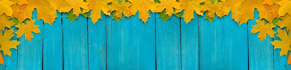  Autumn leaves on turquoise wooden background with empty space, border design panoramic banner 