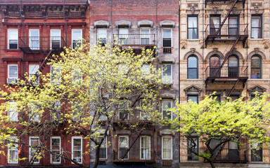 Fototapete - Historic old buildings and trees along 3rd Avenue in the East Village of Manhattan, New York City