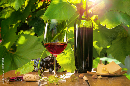 czerwone-wino-na-tle-lisci-oswietonych-promieniami-slonca