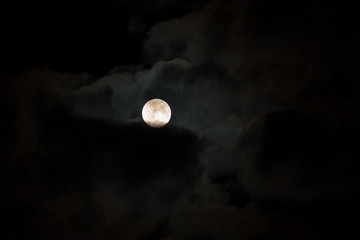 Wall Mural - backgrounds night sky with stars and moon and clouds. wood.