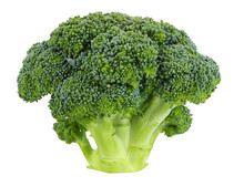 Broccoli Isolated On White Background