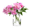 Glass vase with beautiful peonies on white background