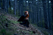 © SHOTPRIME STUDIO - Beautiful young woman in a long dress in the forest