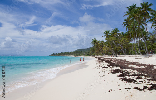 Plage De Guadeloupe Buy This Stock Photo And Explore