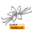 vector icon superfood vanilla
