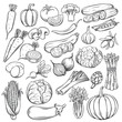 Vector hand drawn vegetables icons set