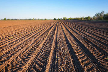 Preparing field for planting. Plowed soil  in spring time with blue sky.