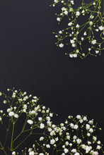 Gypsophila White Small Flowers On Black Stone Background With Copy Space