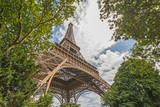 Fototapeta Paryż - view on Eiffel tower from garden at summer day
