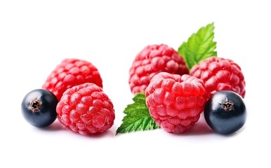 Poster - Fresh raspberries and currants.