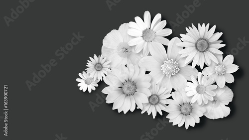 Blumen Weiss Auf Schwarzem Hintergrund Fur Trauerkarte Wall Mural