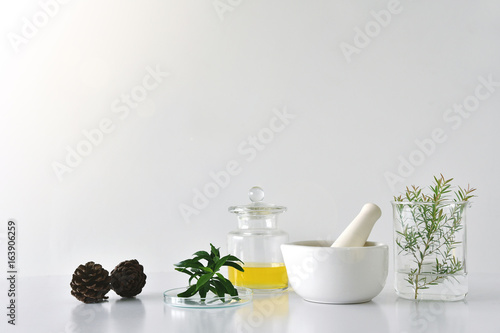 Fotografía Natural organic botany and scientific glassware, Alternative herb medicine, Natural skin care beauty products, Research and development concept