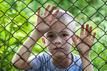 Portrait Of A Little Boy Behind Chain Link Fence