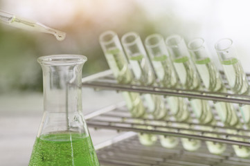 scientific experiments, laboratory equipment and test tubes- science concept