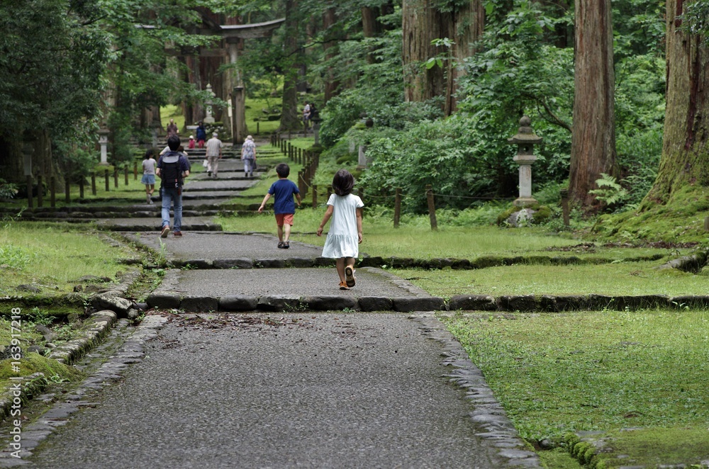 苔で有名な福井県勝山市の平泉寺白山神社 Stock Gamesageddon
