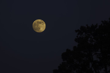 moon