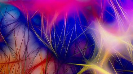 Leinwandbilder - background pattern with fractal needle structures and blurred radiant lights