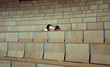 Studentin in einem leeren Hörsaal in einer Universität