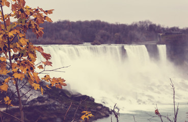 Wall Mural - Niagara