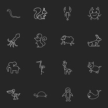 Set Of 16 Editable Zoology Icons. Includes Symbols Such As Chipmunk, Cachalot, Shadoof And More. Can Be Used For Web, Mobile, UI And Infographic Design.